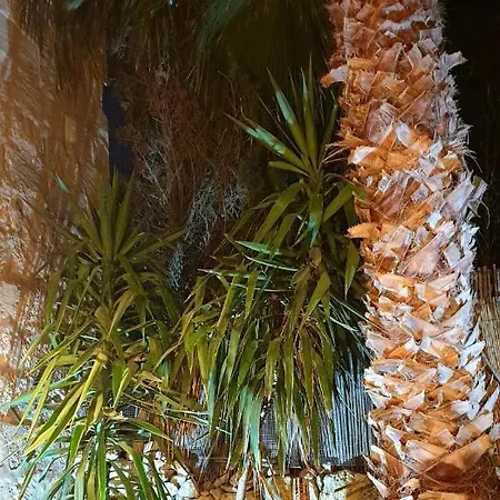 Bedroom Buddha External Bathroom Bed & Breakfast 3*