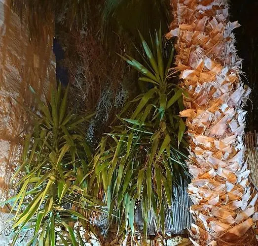 Bedroom Buddha External Bathroom Отель типа 