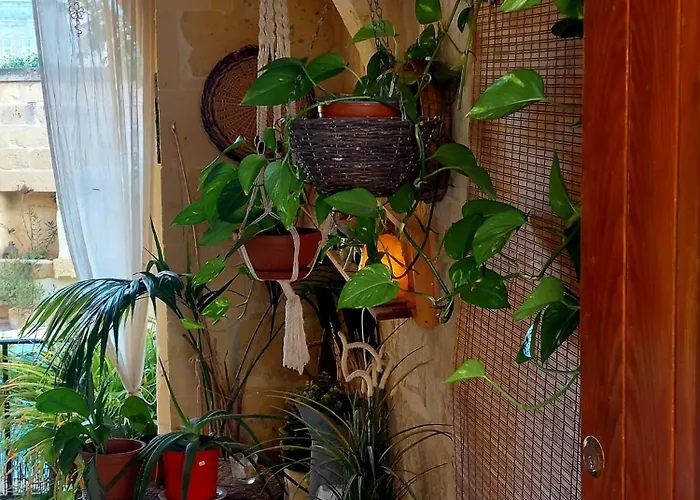 Bedroom Buddha External Bathroom 3* Kerċem